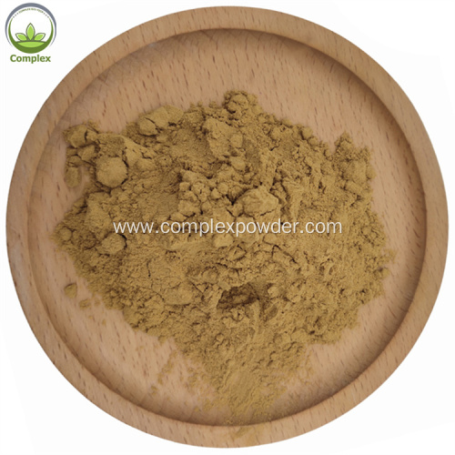 Highest selling products bilberry extracts powder